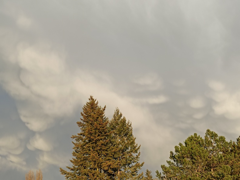 Mammatus-Wolken.jpg